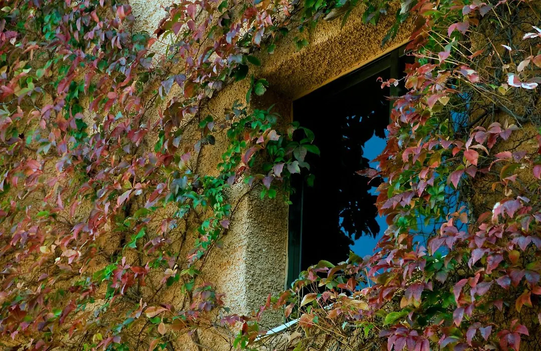 Porcel Alixares-1